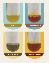 Comparacion de aceites vegetales