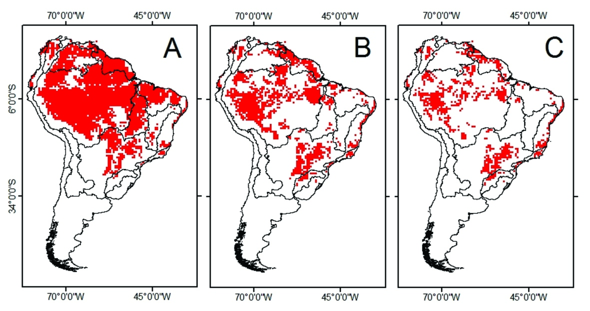 Escenarios generados por el cambio climático en la distribución del tambaqui Escenarios generados por el cambio climático en la distribución del tambaqui