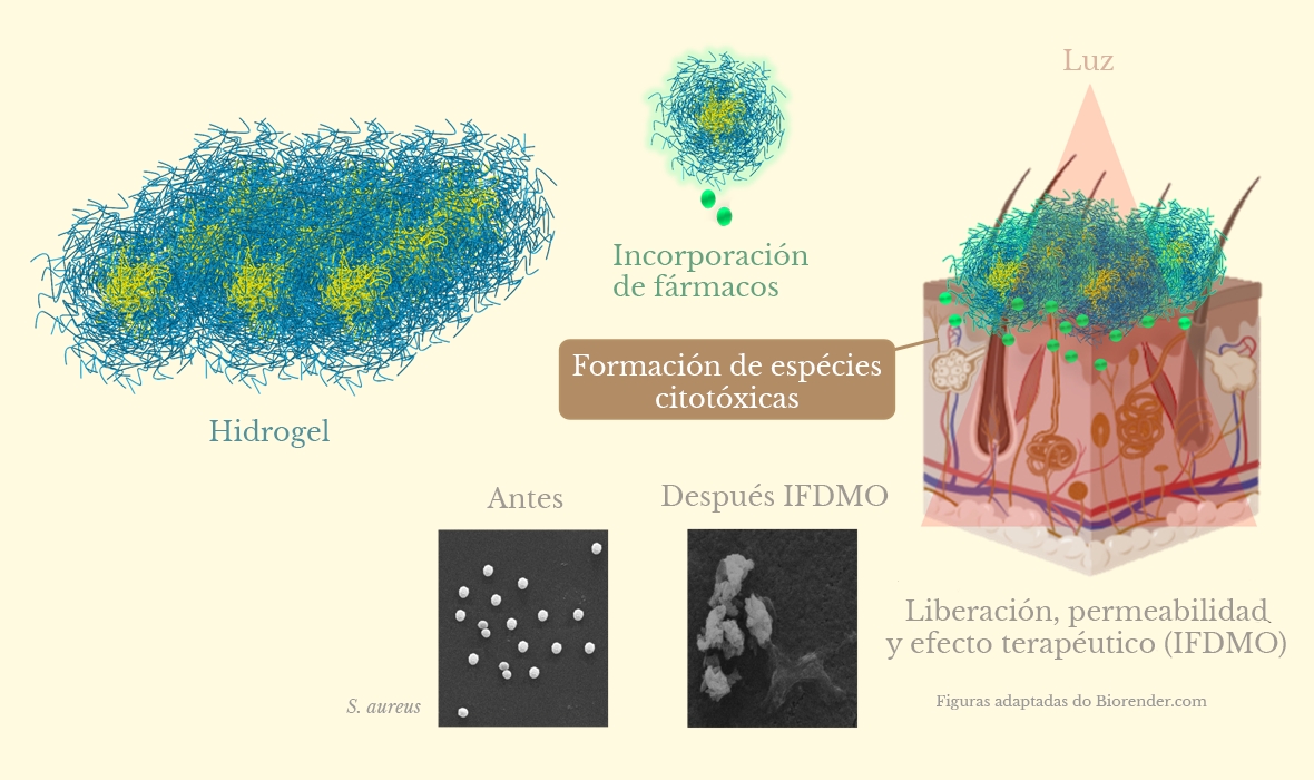 Detalhe da configuração do hidrogel