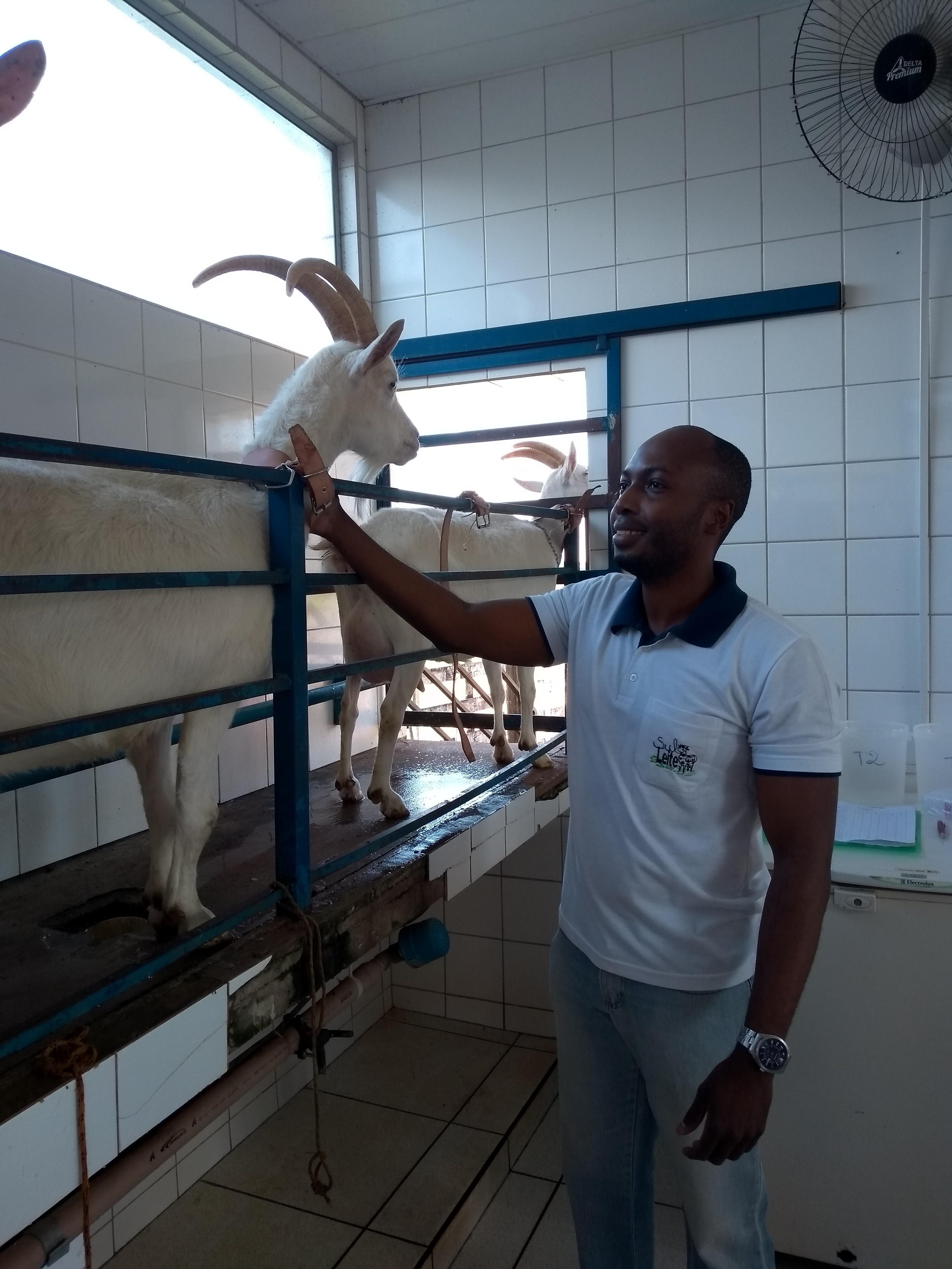 Línea de ordeño de los sectores bovino y caprino de la FEI/UEM