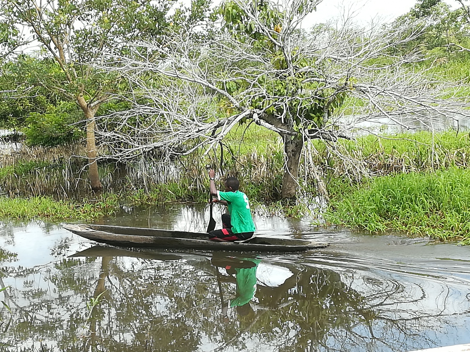 El pescador El pescador