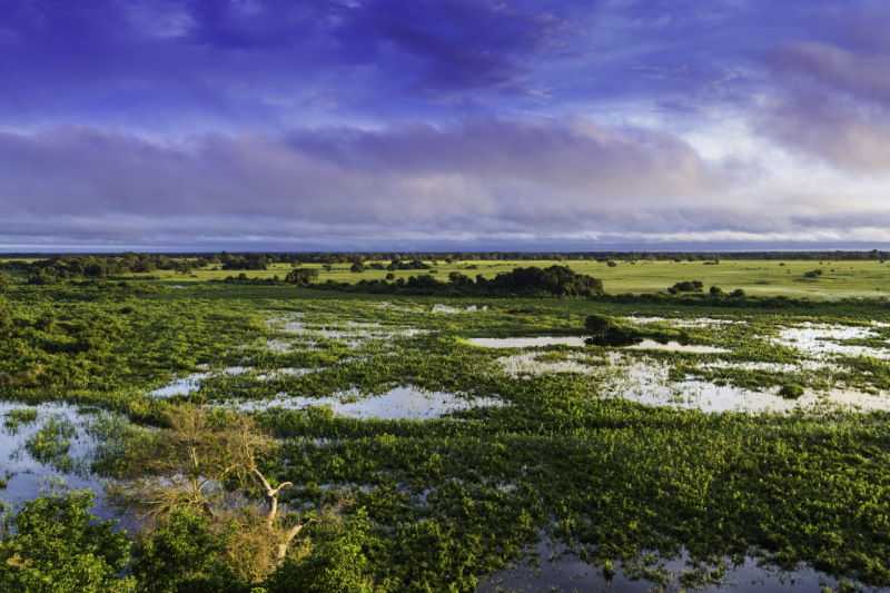 Paisaje de El Pantanal