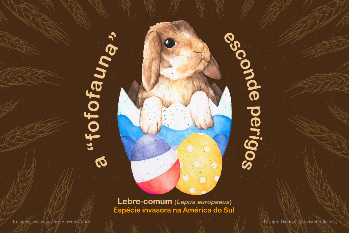 Figura 1. A lebre-comum ou lebre européia é uma das espécies invasoras que causa maior impacto no Brasil e no sul da América Latina.