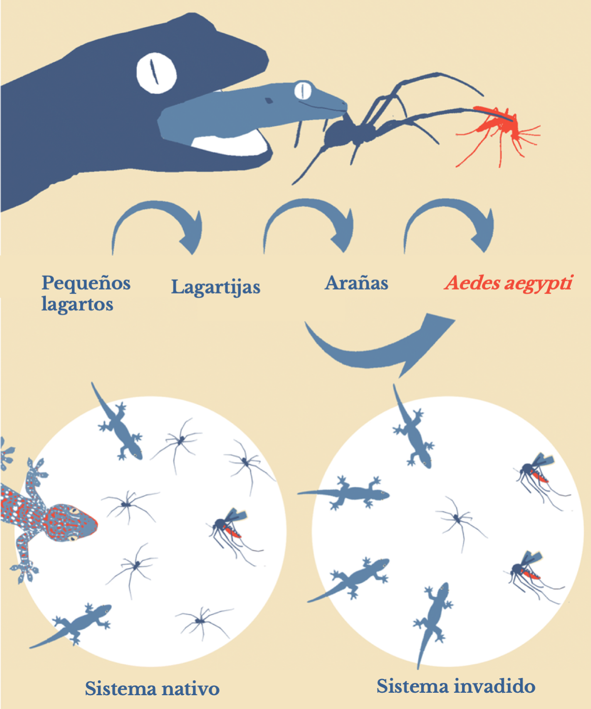 Proliferación de dengue por especies invasoras (español)