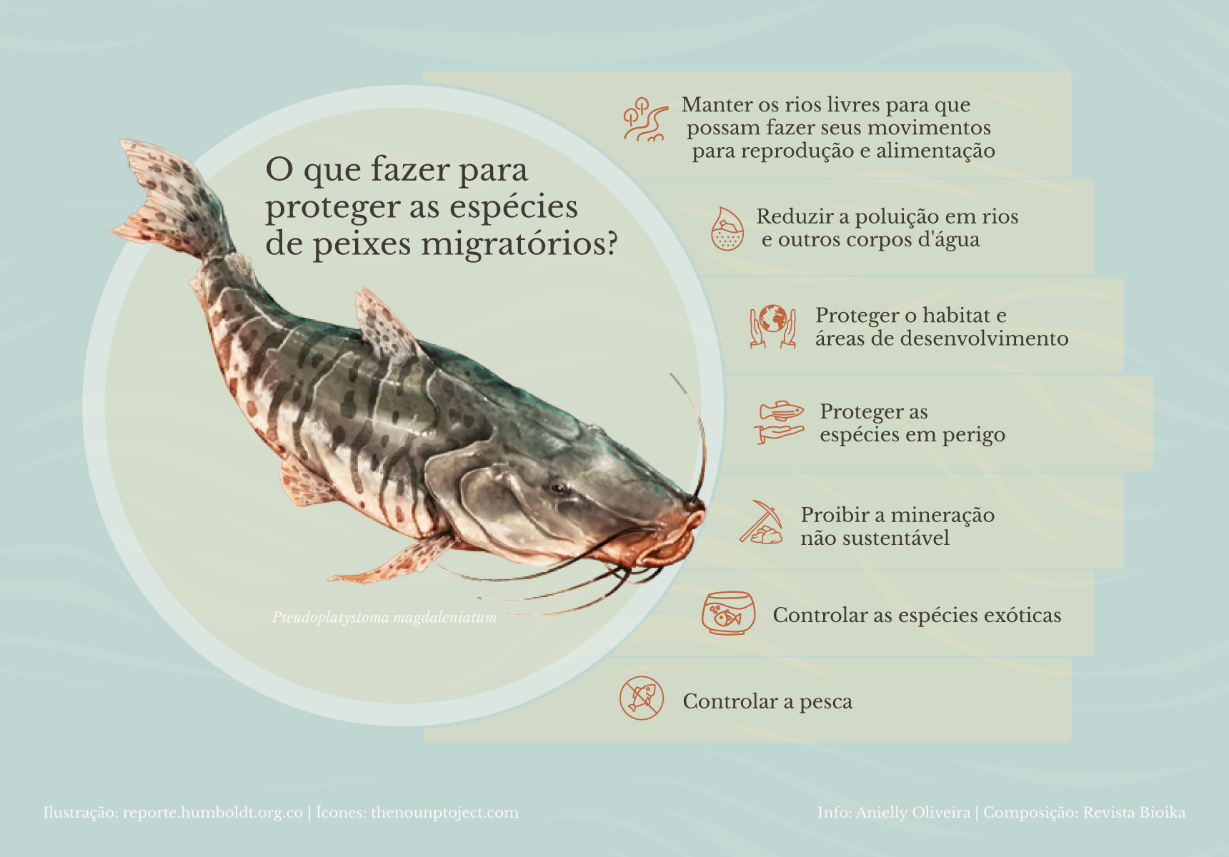 O que fazer para proteger as espécies de peixes migratórios? (postuguês)