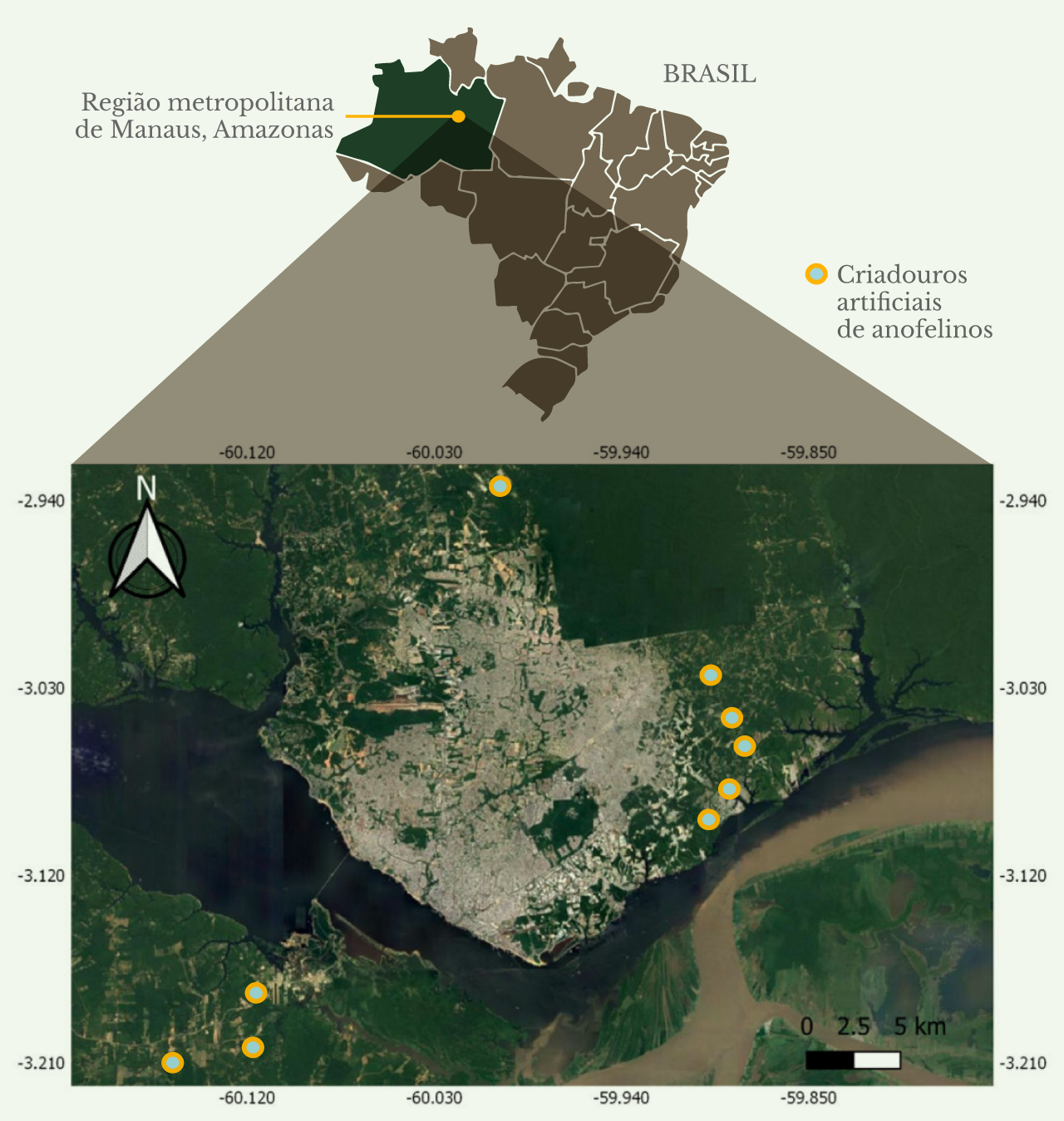 Distribuição  dos criadouros artificiais de anofelinos na região metropolitana de Manaus, Amazonas (português)