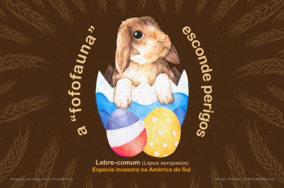 Ilustración: La "tiernofauna" esconde peligros (portugués)