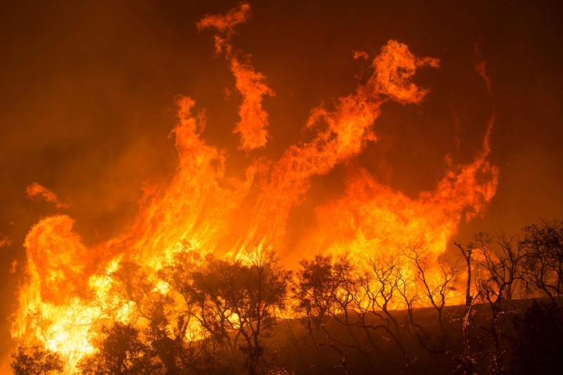 Incendio en el bosque Nacional Los Padres en California, Estados Unidos 
