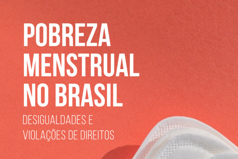 Pobreza Menstrual no Brasil: desigualdade e violações de direitos