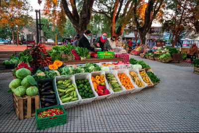 Puesto de verduras agroecológicas