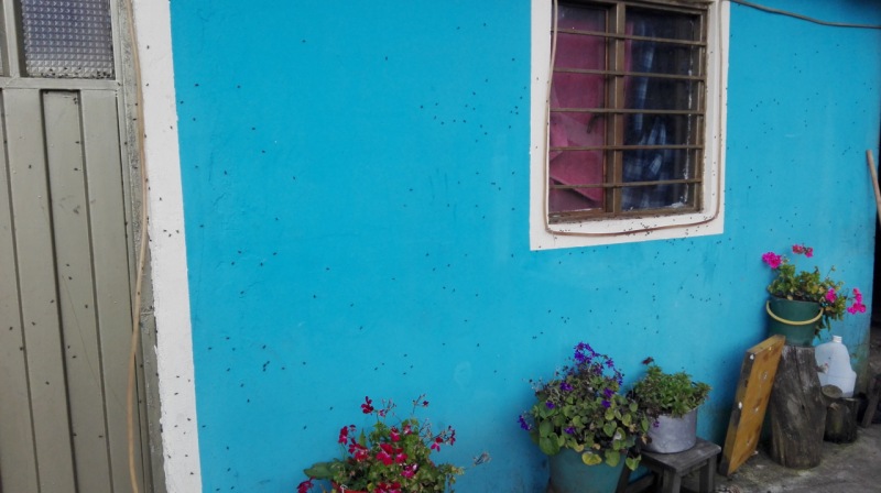 Moscas nas paredes das casas de Mochuelo Alto. 2018.
