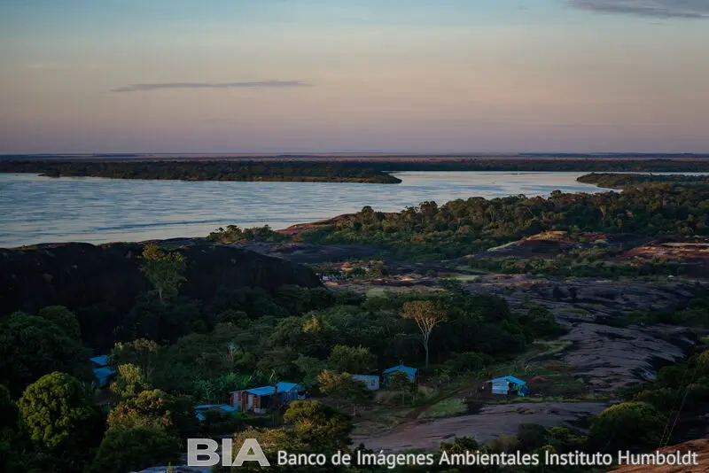 La cuenca del río Orinoco es la segunda más grande del continente americano y sus planicies de inundación son fundamentales para mantener la biodiversidad de la región. Los humedales, los bosques inundables y las sabanas presentes en las planicies de la cuenca, son ecosistemas capaces de albergar una gran biodiversidad en todos los grupos biológicos. Vista del río Bita en el departamento del Vichada en Colombia.