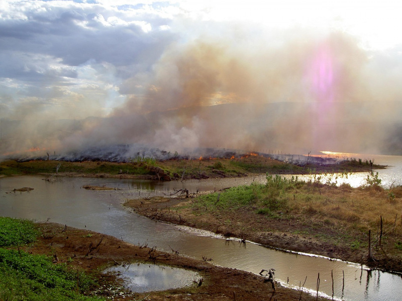 Incendios en zonas húmedas