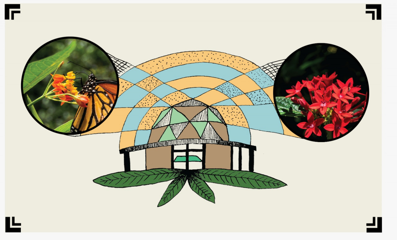 Los mariposarios y jardines botánicos son refugios cruciales para polinizadores como las mariposas, que contribuyen a la conservación de su biodiversidad. Las plantas cultivadas en estos espacios, desempeñan un papel esencial en el ciclo de vida de las mariposas, proporcionando alimento y hábitats seguros para su desarrollo y reproducción.