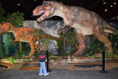 Foto: niño viendo réplicas robot del T-Rex