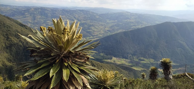 Santuario de Flora y Fauna Iguaque