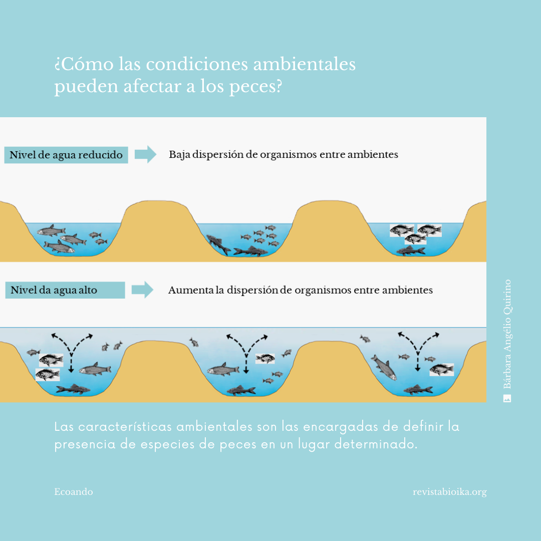 ¿Cómo las condiciones ambientales pueden afectar a los peces? ¿Cómo las condiciones ambientales pueden afectar a los peces?
