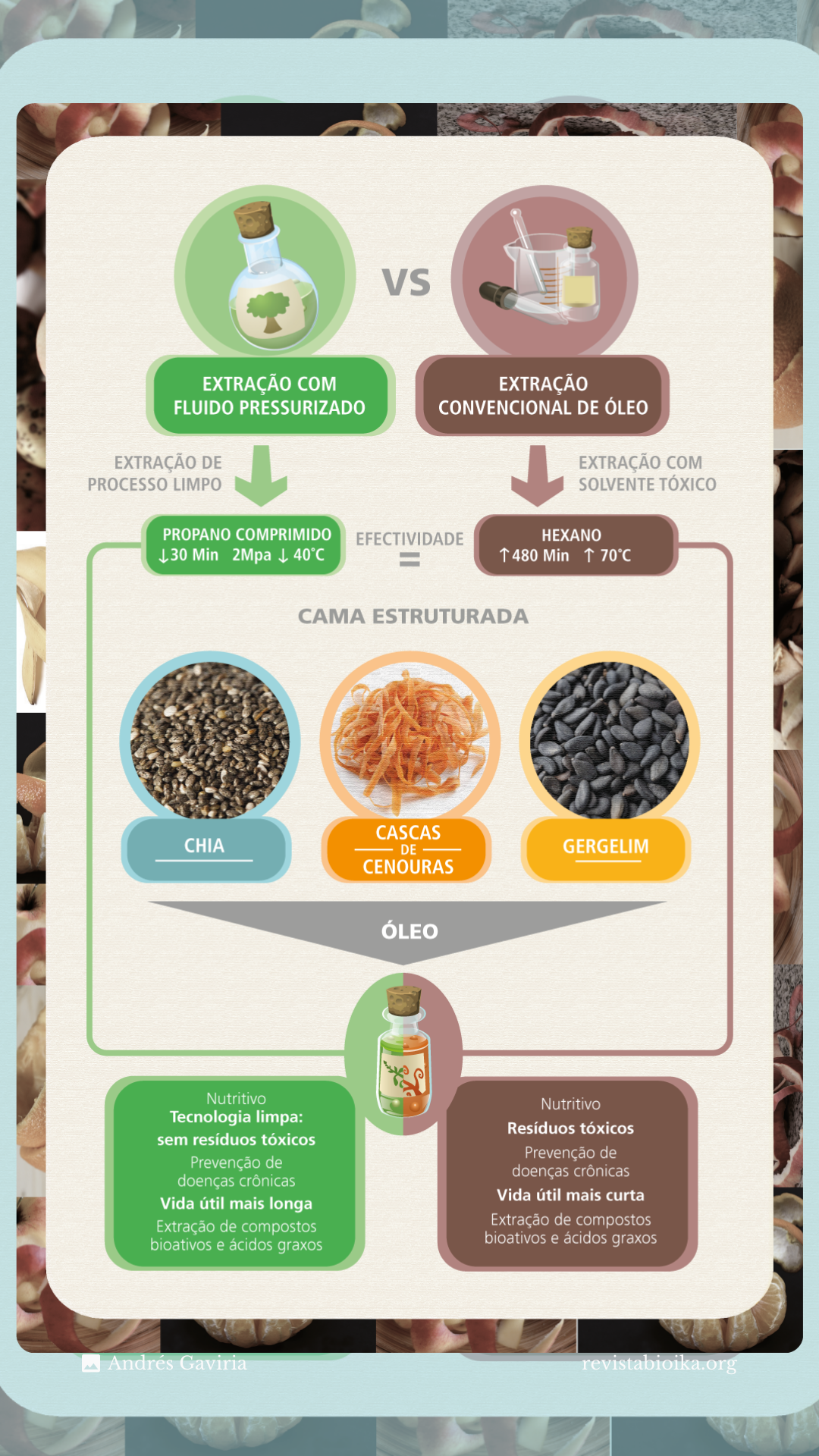 ¿Desechas las cáscaras de zanahoria? Descubre cómo pueden contribuir para la producción de un poderoso alimento (Portugués)