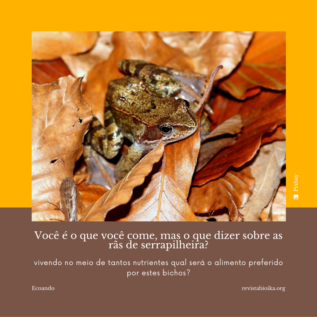 Post redes sociales Post redes sociales