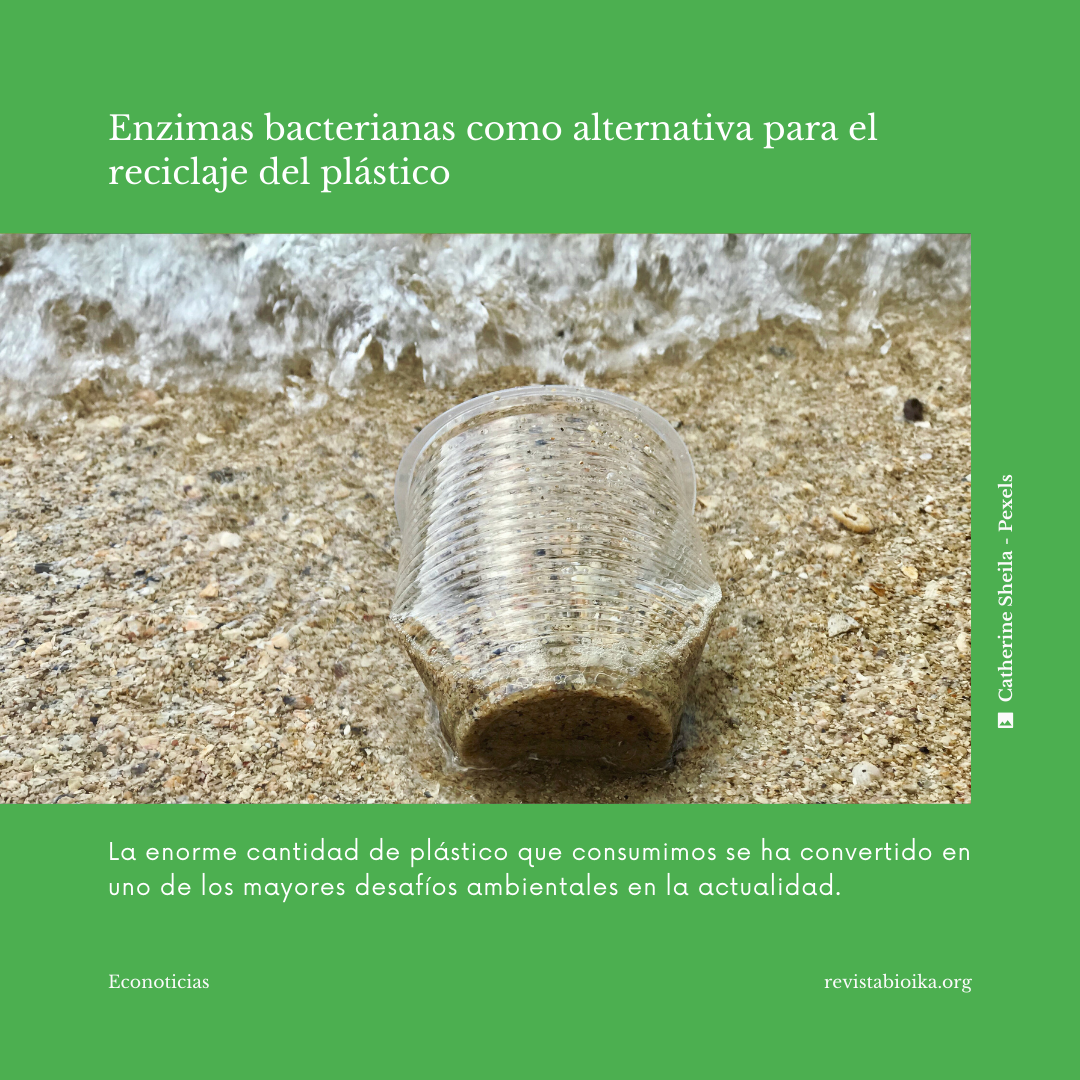 Post ES: Enzimas bacterianas como alternativa para el reciclaje del plástico