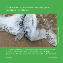 Post PT: Enzimas bacterianas como alternativa para a reciclagem do plástico