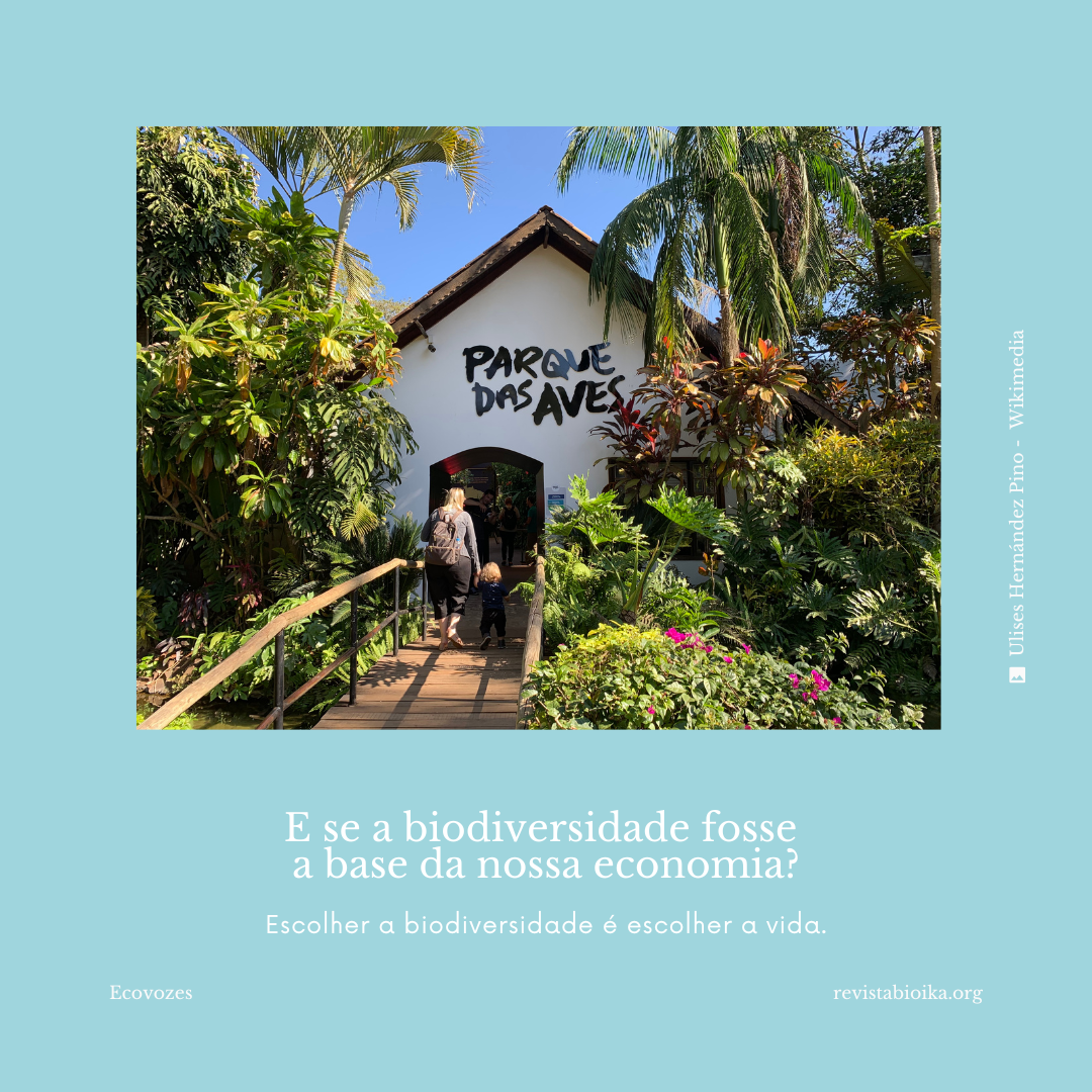 E se a biodiversidade fosse a base da nossa economia?