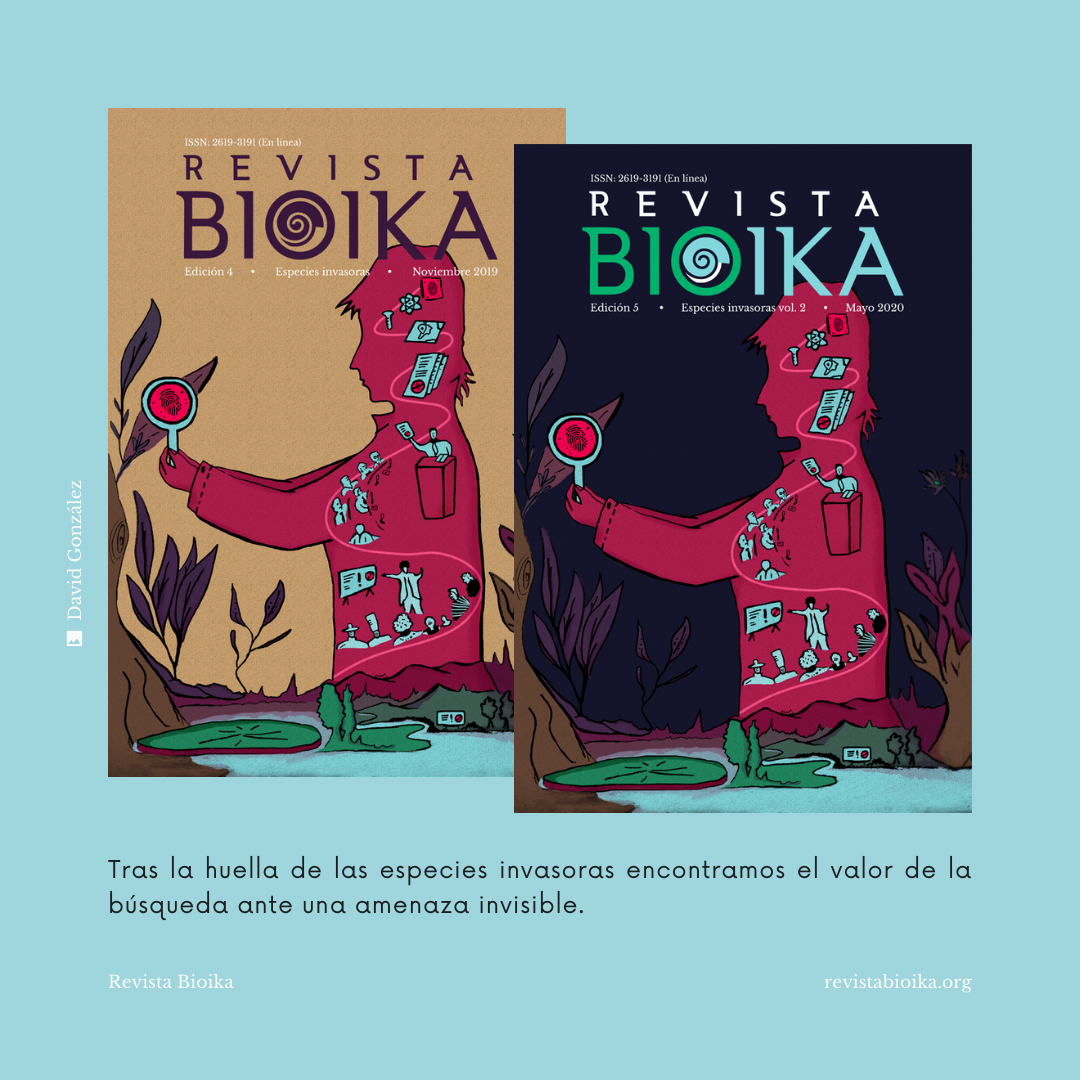 Portadas de la cuarta y quinta edición de la Revista Bioika