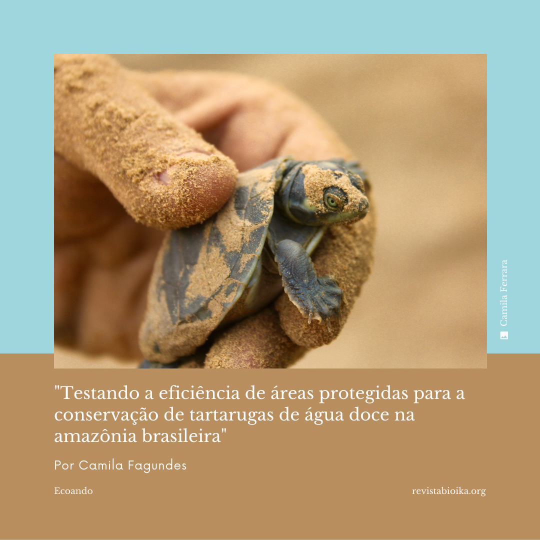 Portada: Probando la eficiencia de las Áreas Protegidas para la conservación de tortugas de agua dulce en la Amazonía brasilera (portugués)