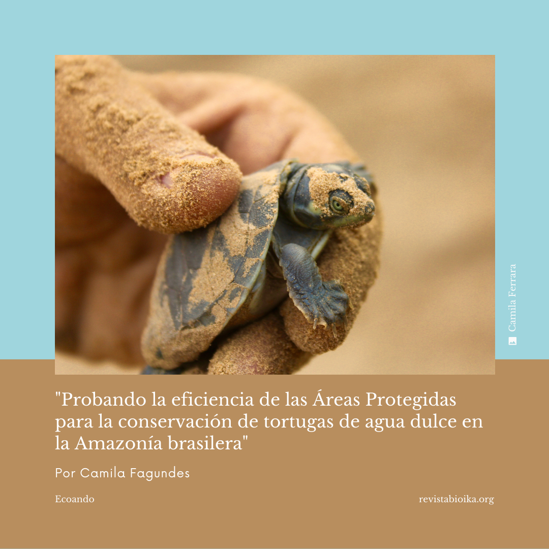 Portada: Probando la eficiencia de las Áreas Protegidas para la conservación de tortugas de agua dulce en la Amazonía brasilera