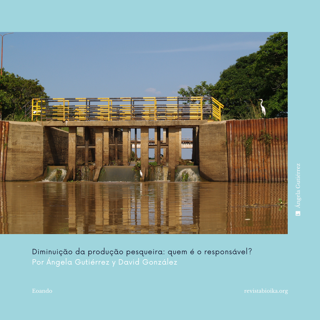 Post: Disminución de la producción pesquera: ¿quién es el verdadero responsable? (portugués) Post: Disminución de la producción pesquera: ¿quién es el verdadero responsable? (portugués)