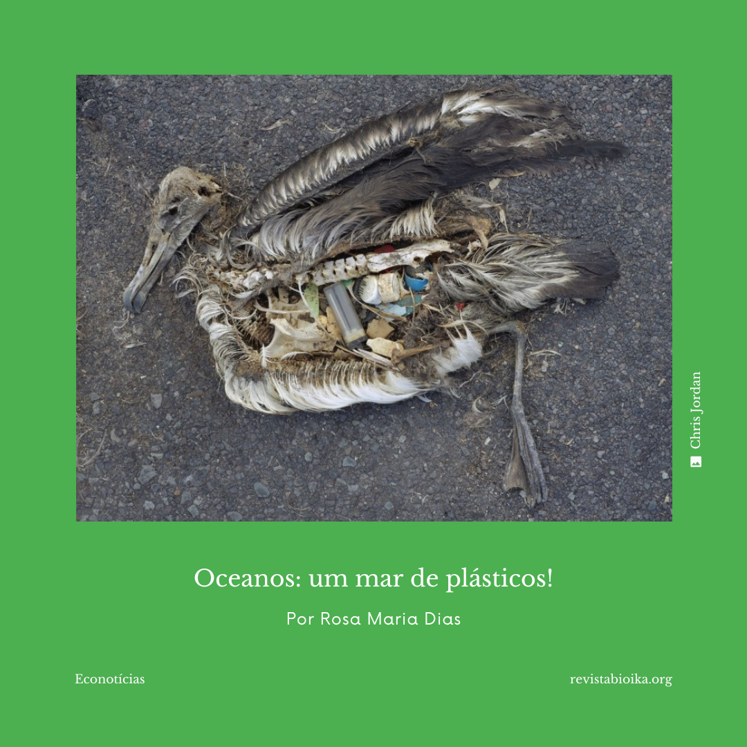 Post: Océanos: un mar de plásticos Post: Océanos: un mar de plásticos