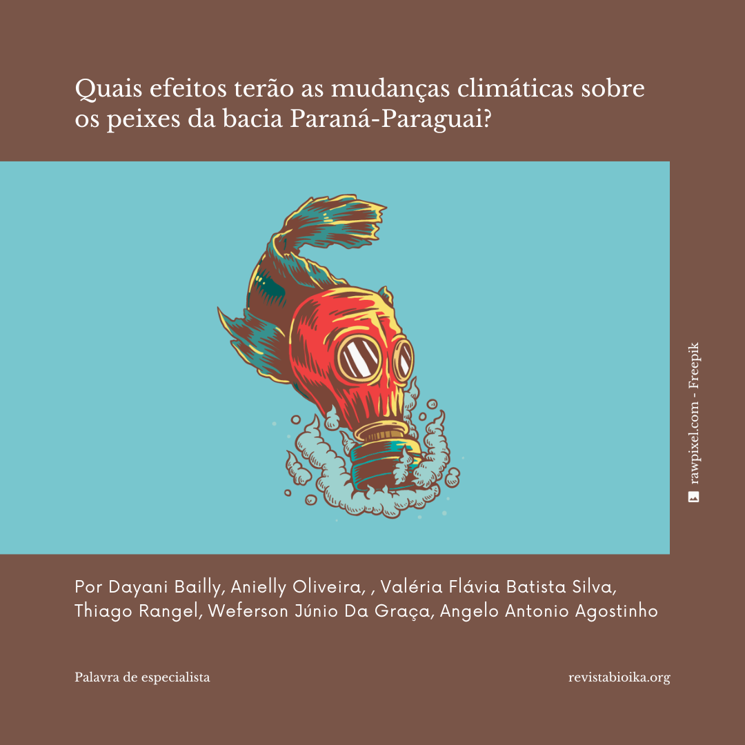 Post: efeitos das mudanças climáticas na bacia Paraná-Paraguai