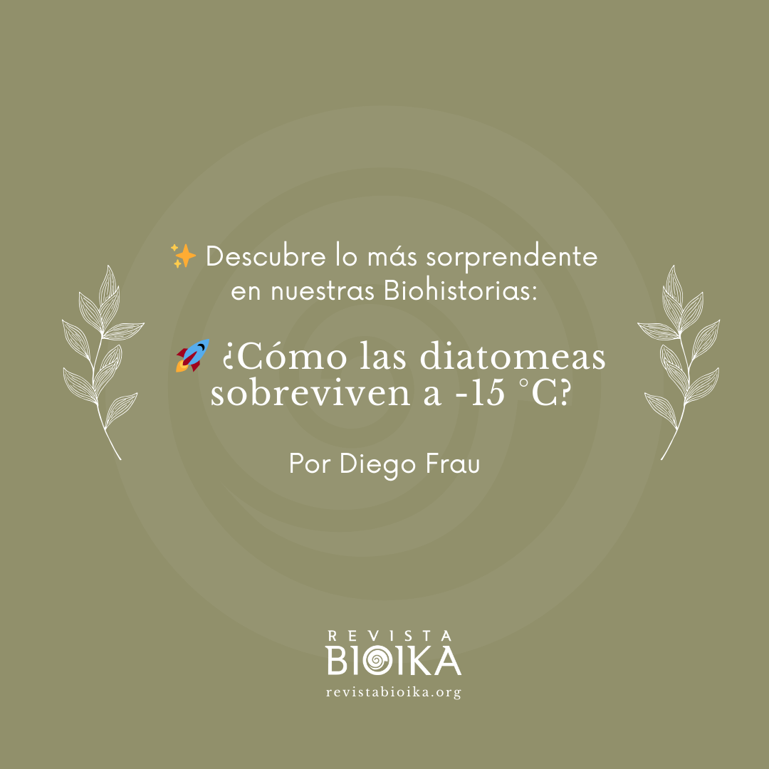 Biohistoria: Diatomeas en el hielo Biohistoria: Diatomeas en el hielo
