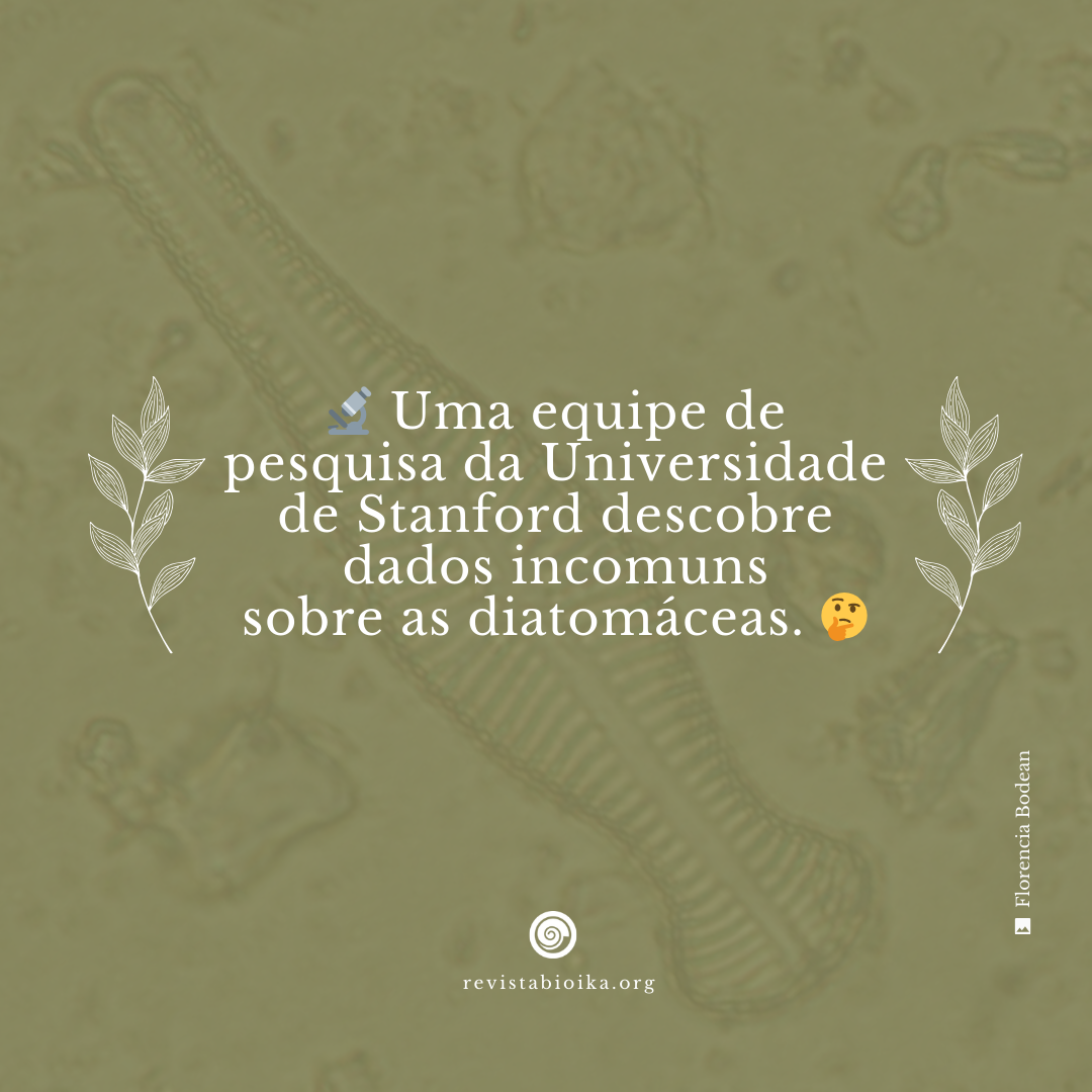 Biohistoria: Diatomeas en el hielo Biohistoria: Diatomeas en el hielo