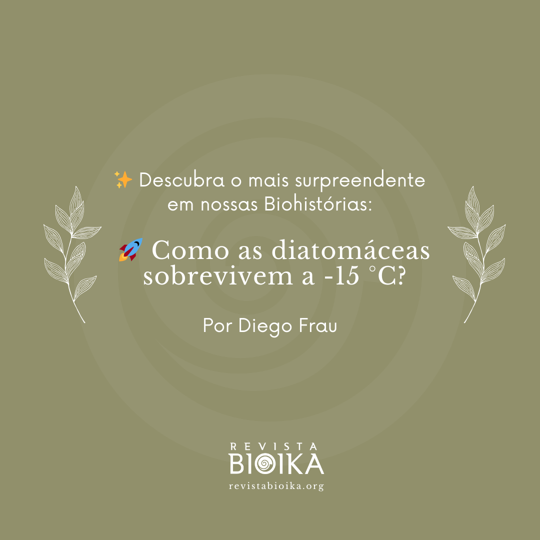 Biohistoria: Diatomeas en el hielo Biohistoria: Diatomeas en el hielo