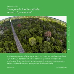 Post: Hotspots de biodiversidade: tesouro “preservado”