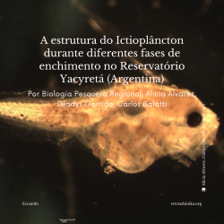 Post: A estrutura do Ictioplâncton no Reservatório Yacyretá na Argentina