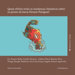 Post: efeitos das mudanças climáticas na bacia Paraná-Paraguai