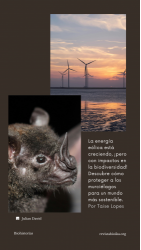 Story: Energía Eólica y la Conservación de los Murciélagos