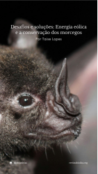 Story: Energia eólica e a conservação dos morcegos