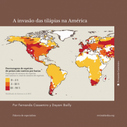 Post 1: A invasão das tilápias na América