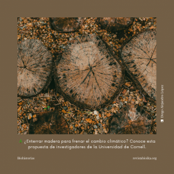 Biohistoria: Enterrar madera para frenar el cambio climático