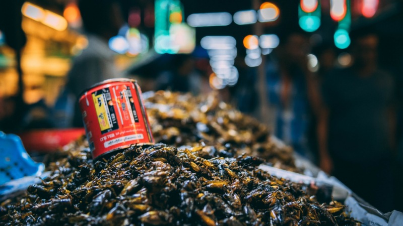 Insectos cómo comida en Chinatown City Mart