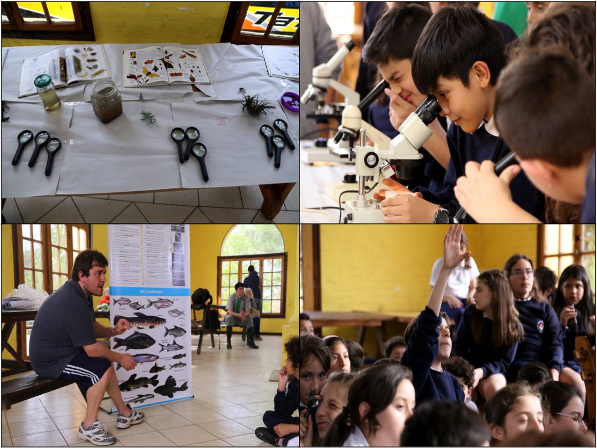 Atividades de educação ambiental e científica