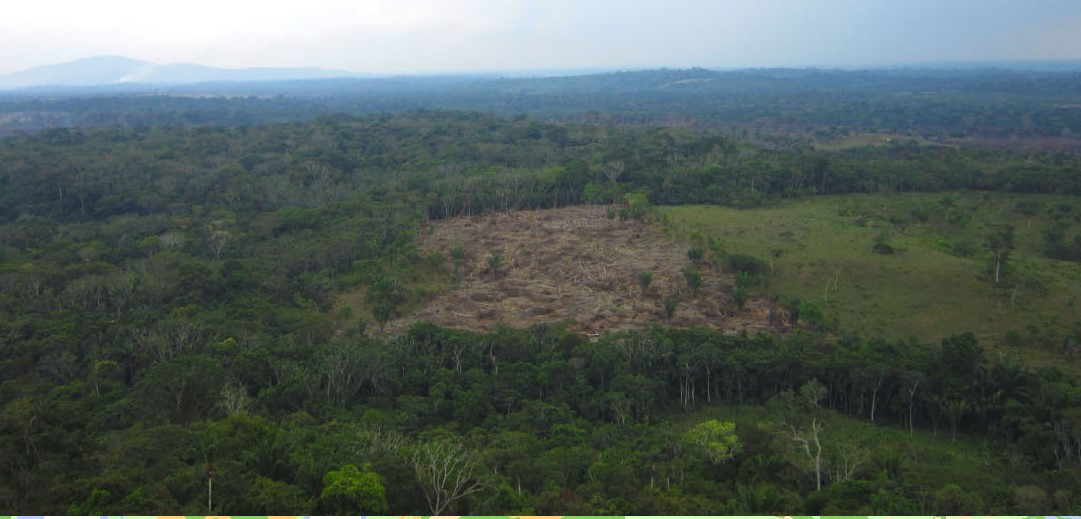 Vista aérea da área de estudo
