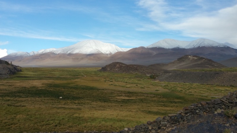 A vegetação associada pode ser variável, mas geralmente as gramíneas predominam. O grau de saturação da água do solo determina o tipo de vegetação, sendo comum encontrar três tipos de prados (A, B e C) de acordo com o nível do lençol freático e a vegetação