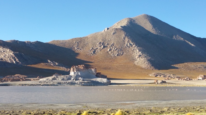 Suelen estar acompañadas en general de una vega o un bofedal cercano que se conecta a la laguna de forma directa o a través de uno o más canales. El espejo de agua suele tener una superficie extensa, pero una muy baja profundidad.