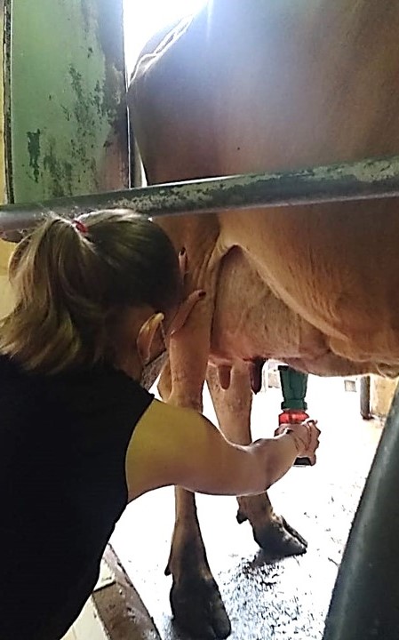 Procedimento - Parte B