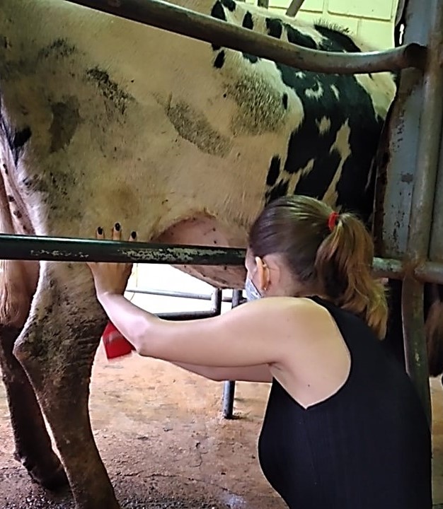 Procedimento - Parte C