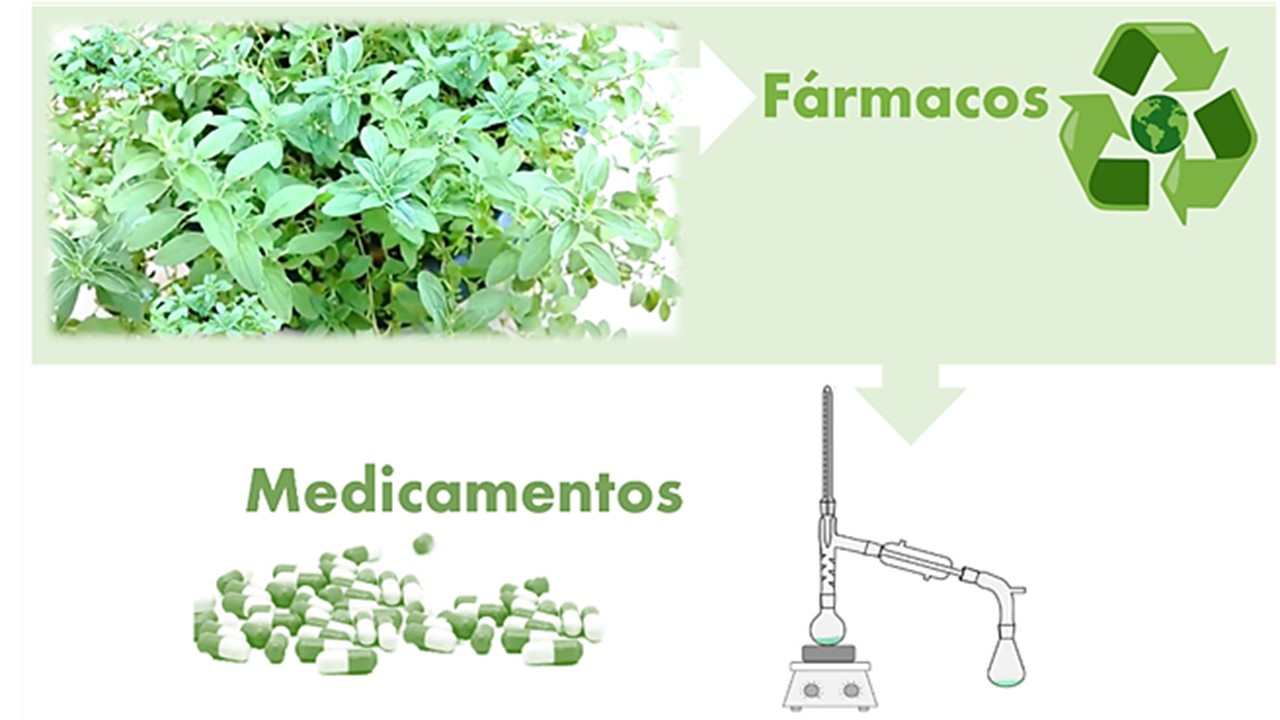 Sistema de hidroestilação